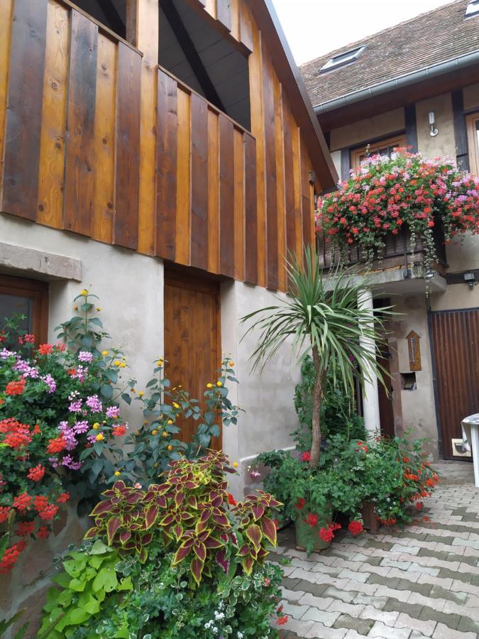 Appartement Duplex Chez Sandra Ottrott Zewnętrze zdjęcie