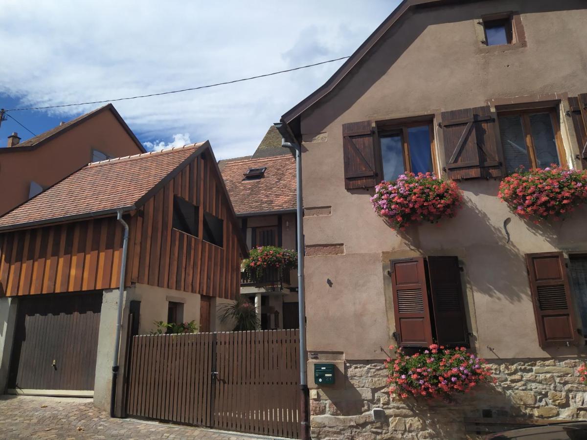 Appartement Duplex Chez Sandra Ottrott Zewnętrze zdjęcie